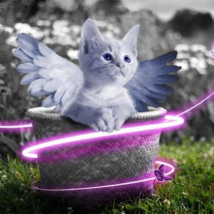 九色91POPNY🔥蝌蚪新疆
